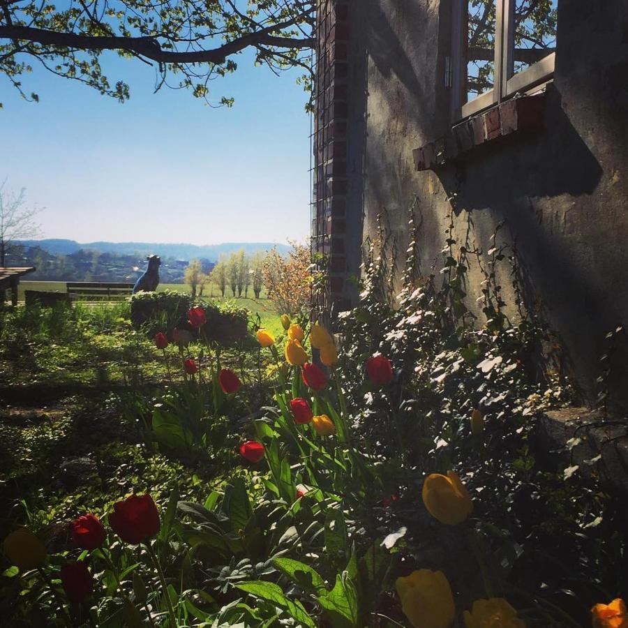 Gladeholm - Kivik - Artist Studio Екстериор снимка